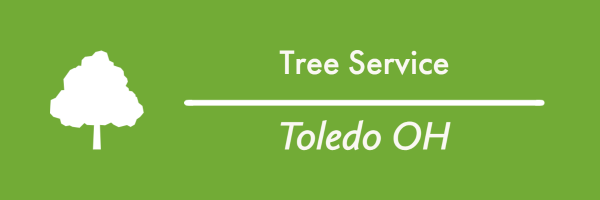 tree service toledo oh